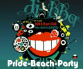 北京新嘣|dj派对,沙滩|dj|bbq|露营派对